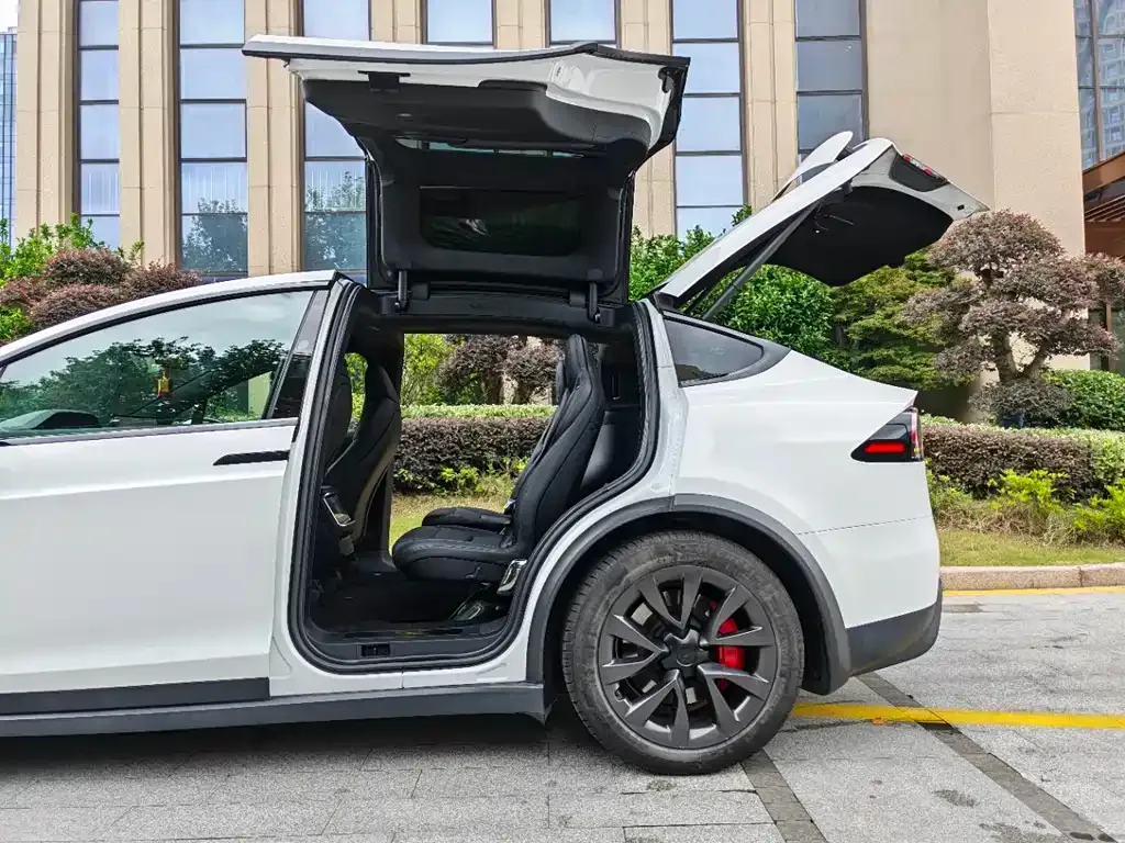 Tesla Model X — фото 8