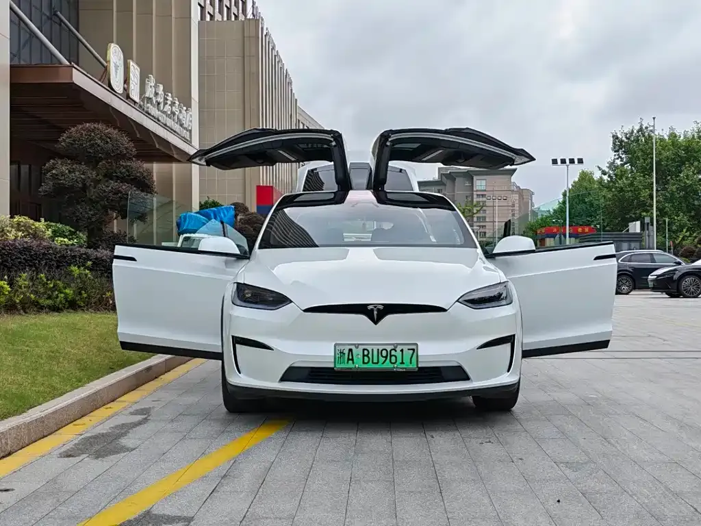 Tesla Model X — фото 5