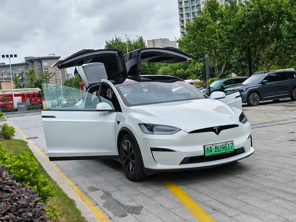 Tesla Model X — фото 2