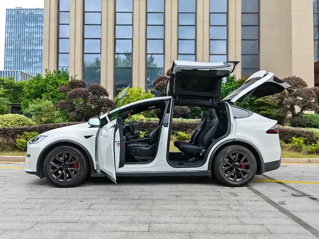 Tesla Model X — фото 4
