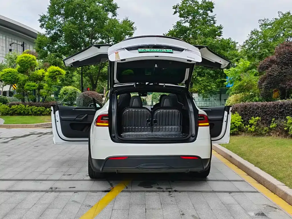 Tesla Model X — фото 10