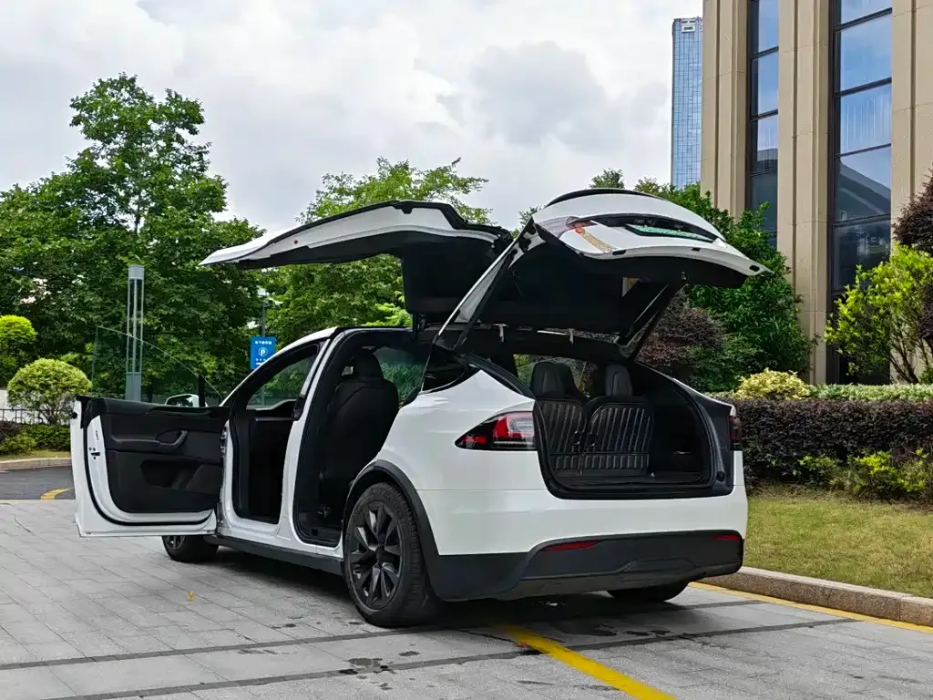 Tesla Model X — фото 6