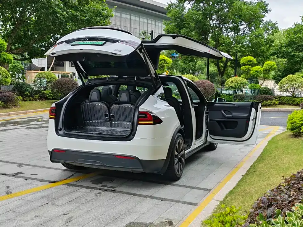 Tesla Model X — фото 9