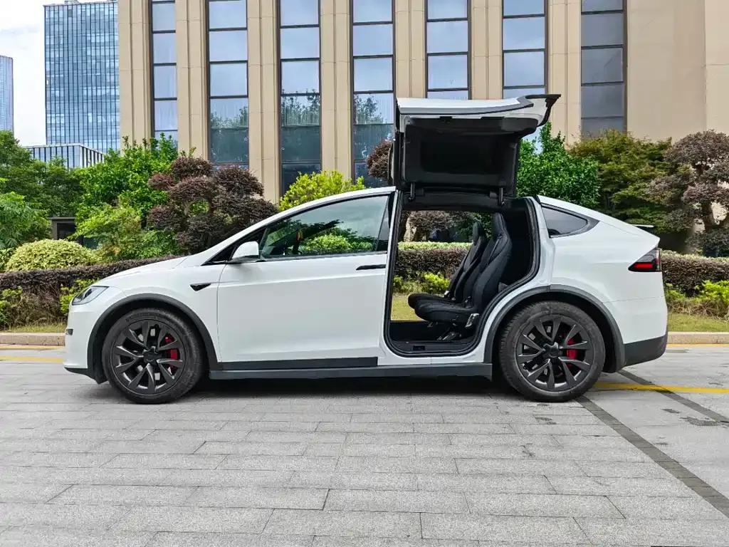 Tesla Model X — фото 3