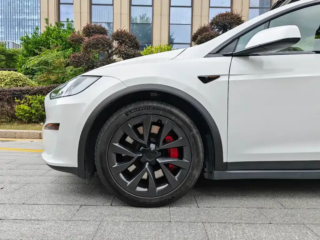 Tesla Model X — фото 7