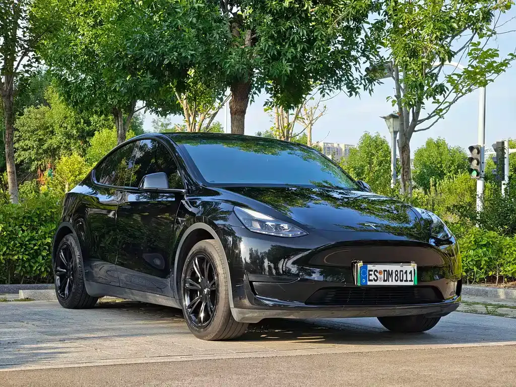 Tesla Model Y — фото 1