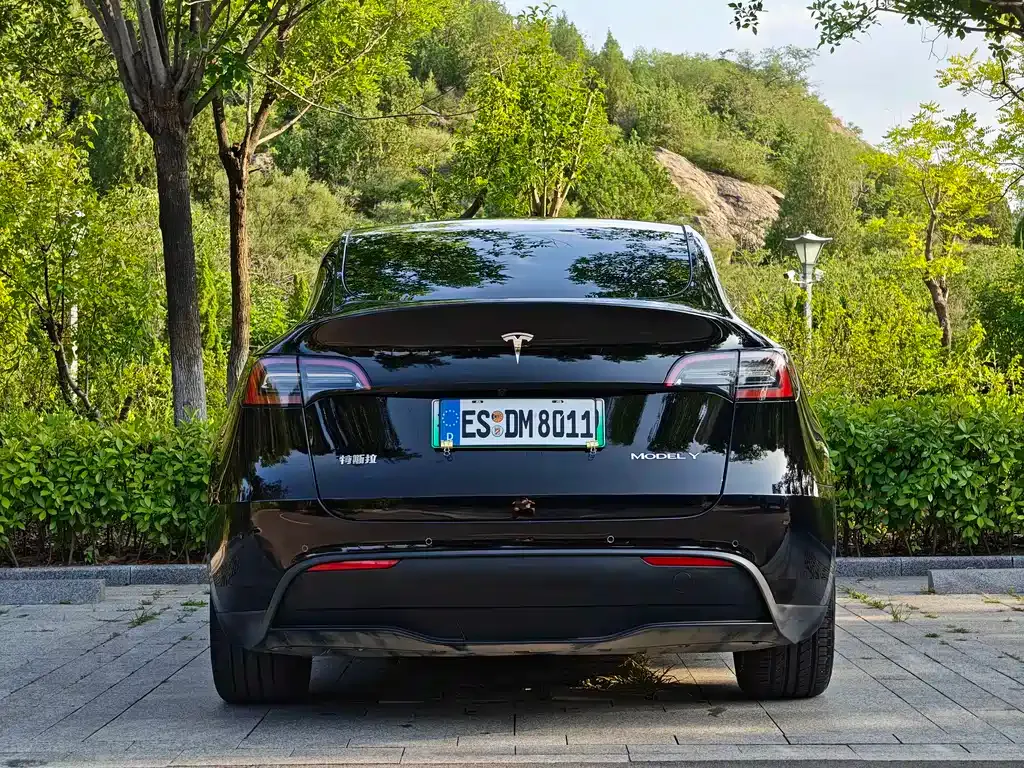 Tesla Model Y — фото 10