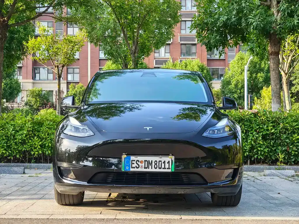 Tesla Model Y — фото 7