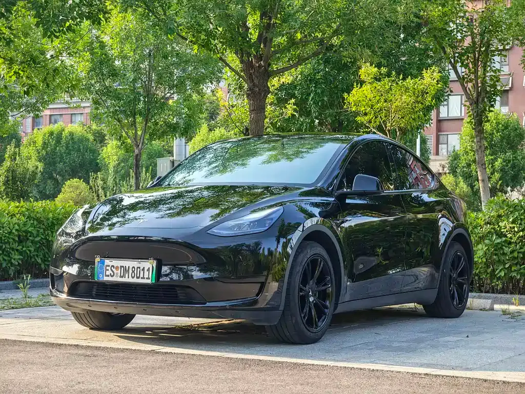 Tesla Model Y — фото 9