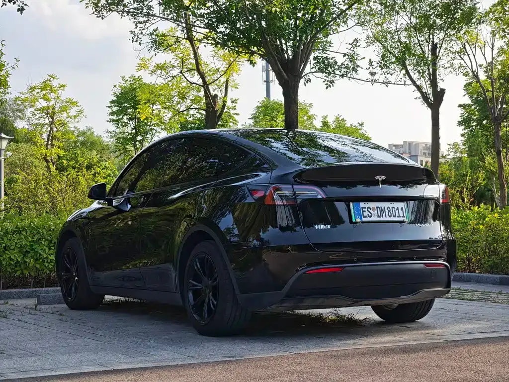 Tesla Model Y — фото 6