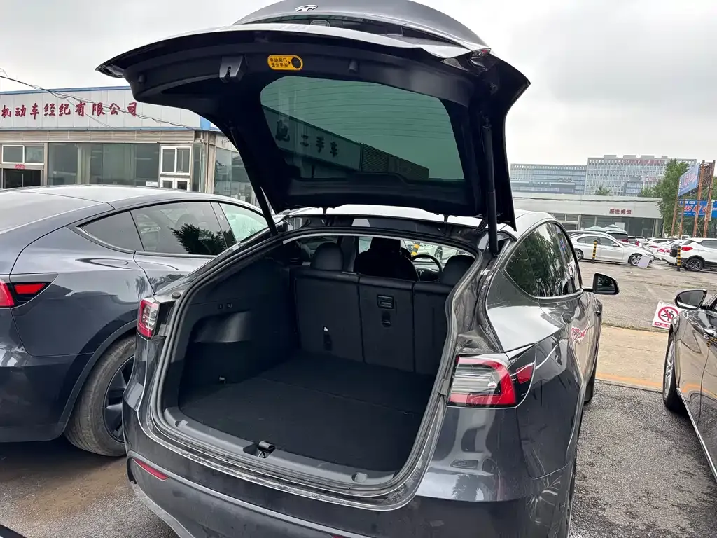 Tesla Model Y — фото 7