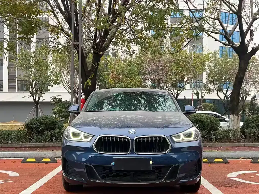 BMW X2 — фото 6