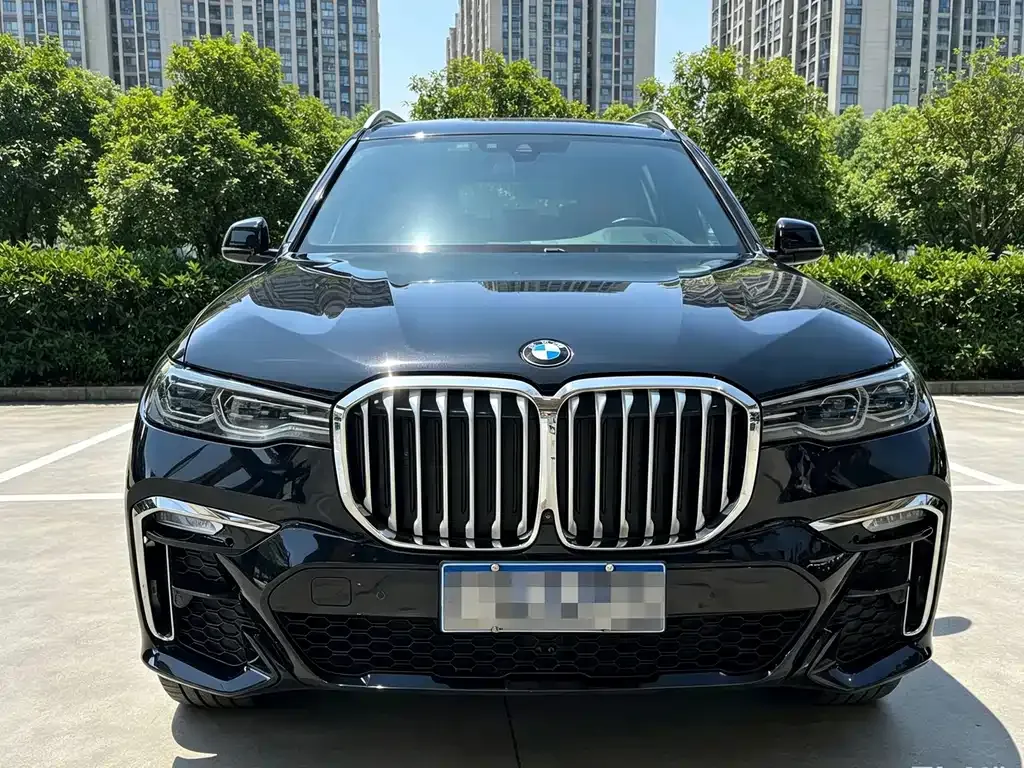 BMW X7 — фото 8