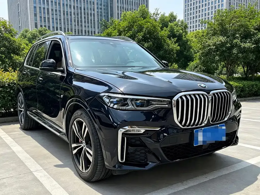 BMW X7 — фото 9