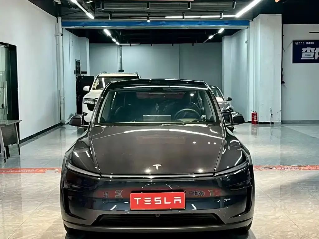 Tesla Model Y — фото 3