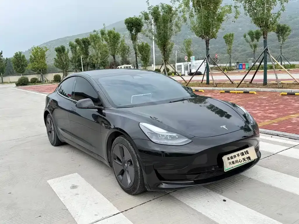 Tesla Model 3 — фото 10