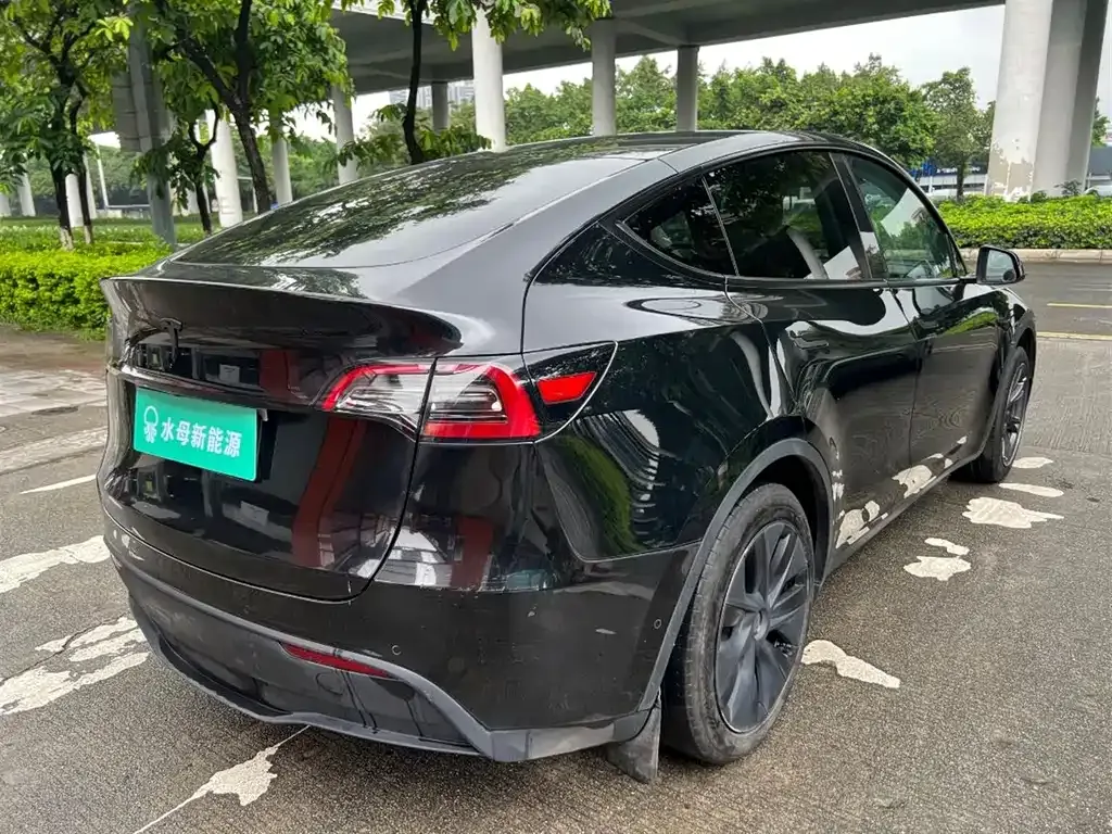 Tesla Model Y — фото 3