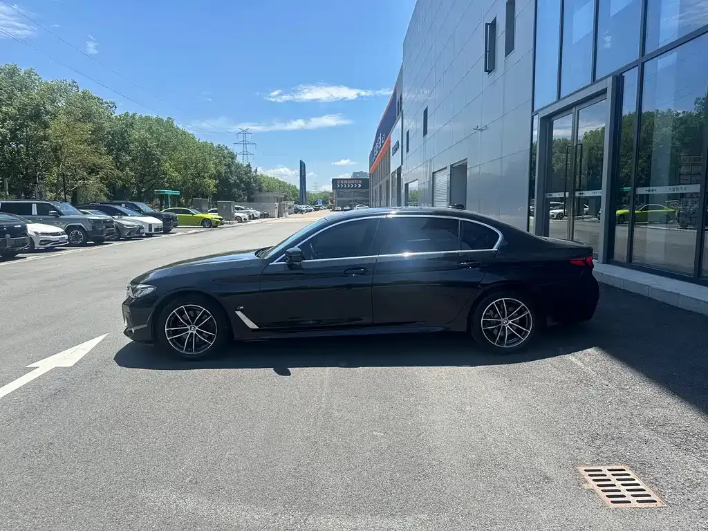 BMW 5 Series 2024 из CN, фото 6