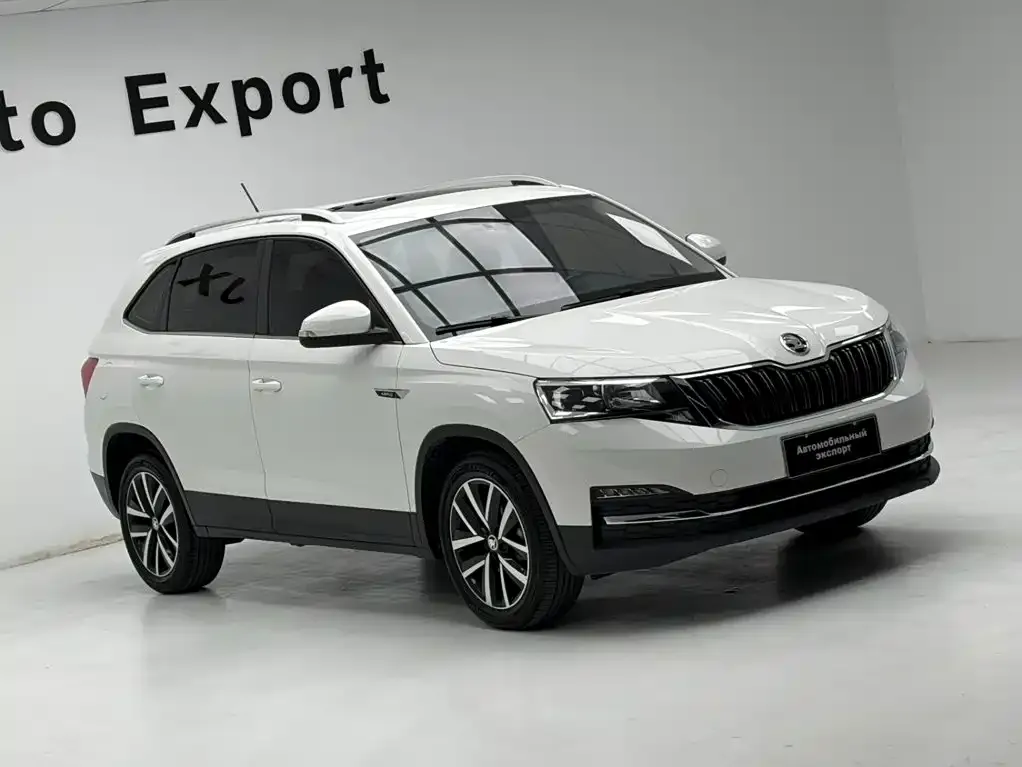 Skoda Kamiq — фото 9