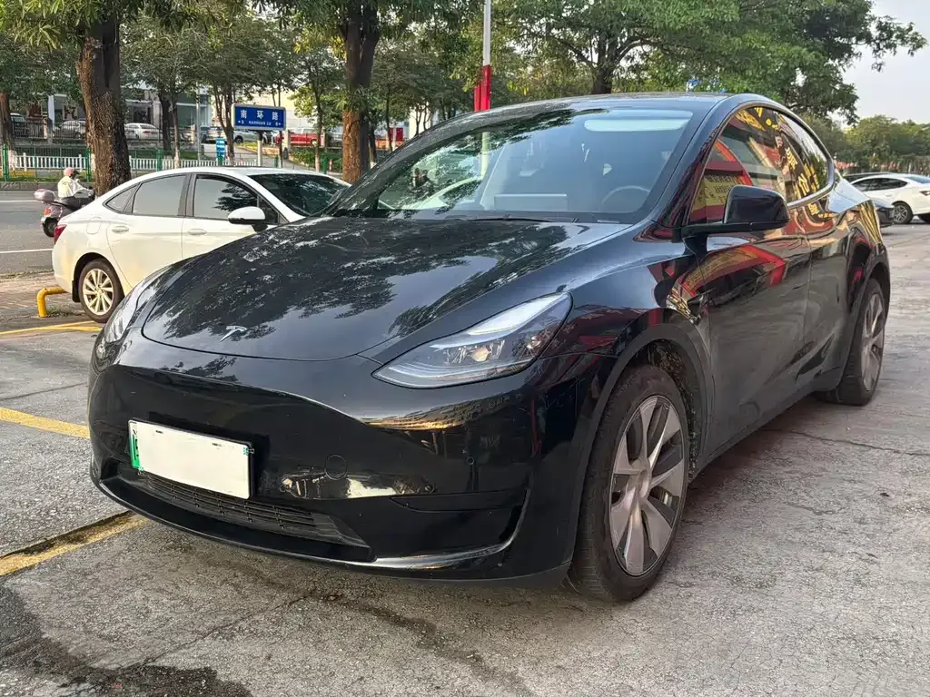 Tesla Model Y — фото 1