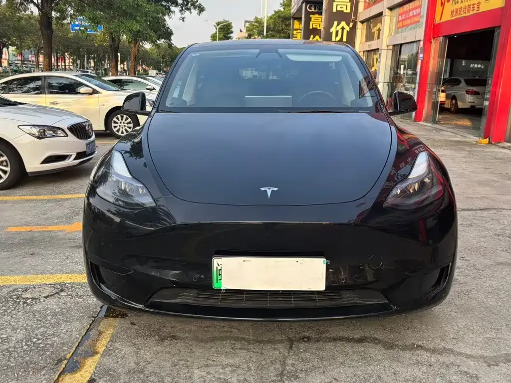 Tesla Model Y — фото 9