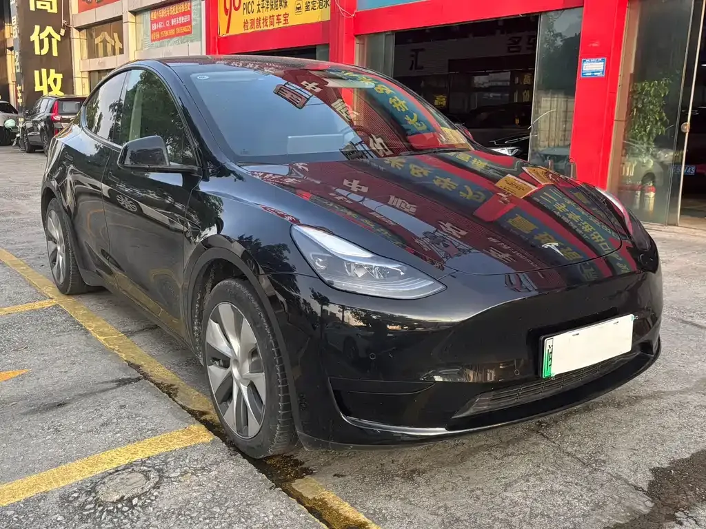Tesla Model Y — фото 5