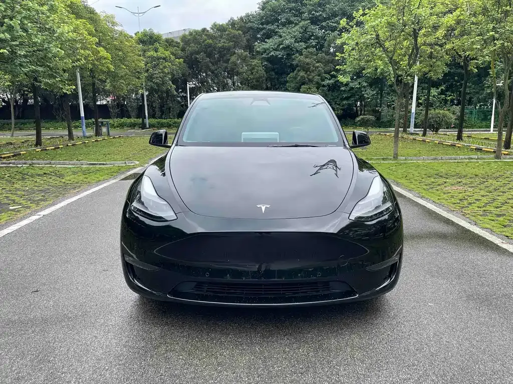 Tesla Model Y — фото 7