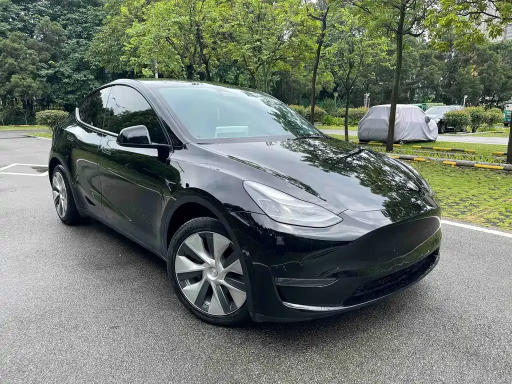 Tesla Model Y — фото 2