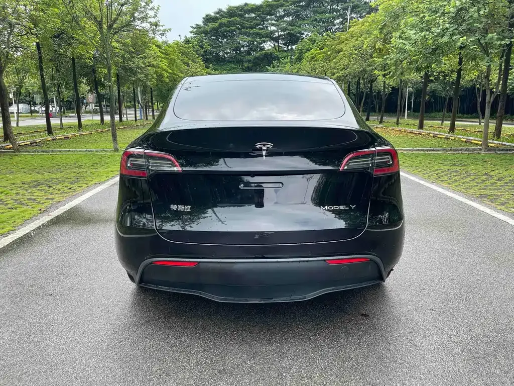 Tesla Model Y — фото 6