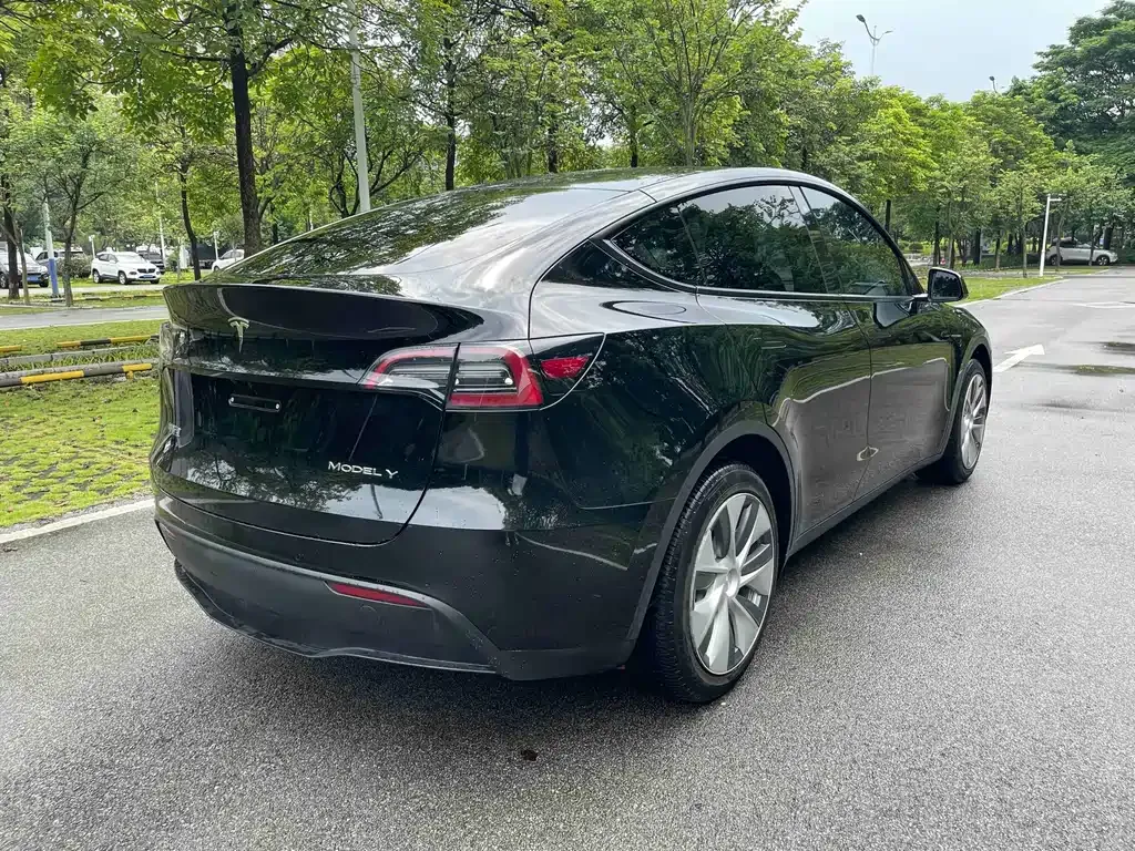 Tesla Model Y — фото 10