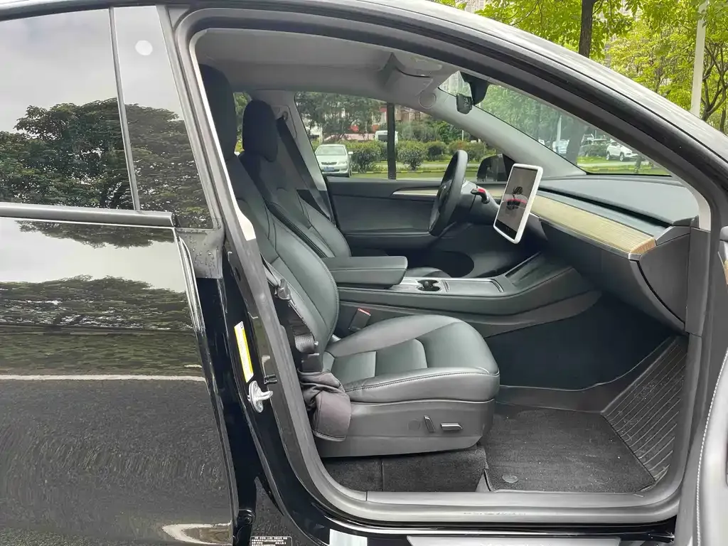 Tesla Model Y — фото 5