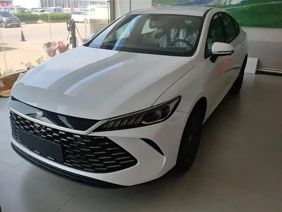 BYD Qin PLUS — фото 1