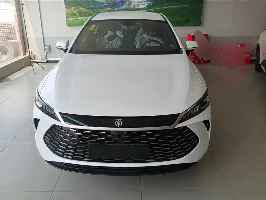 BYD Qin PLUS — фото 4