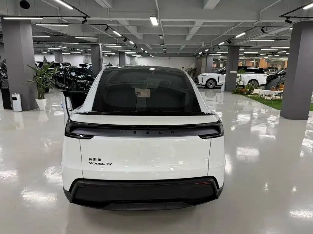 Tesla Model Y L 2026 из CN, фото 4