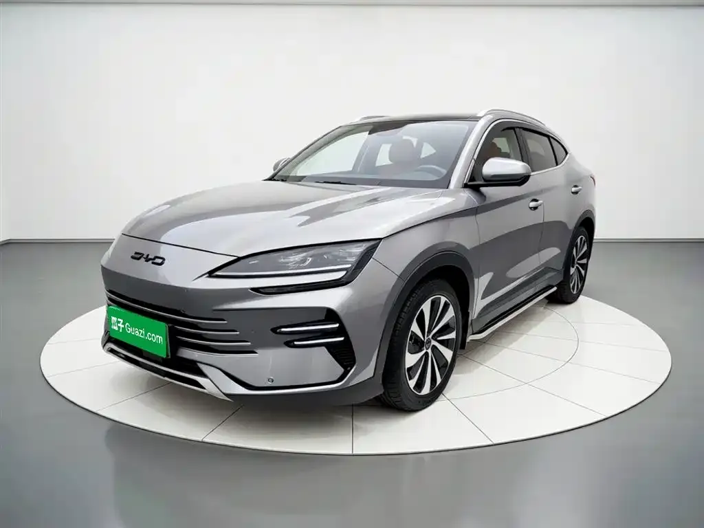 BYD PLUS New Energy — фото 1