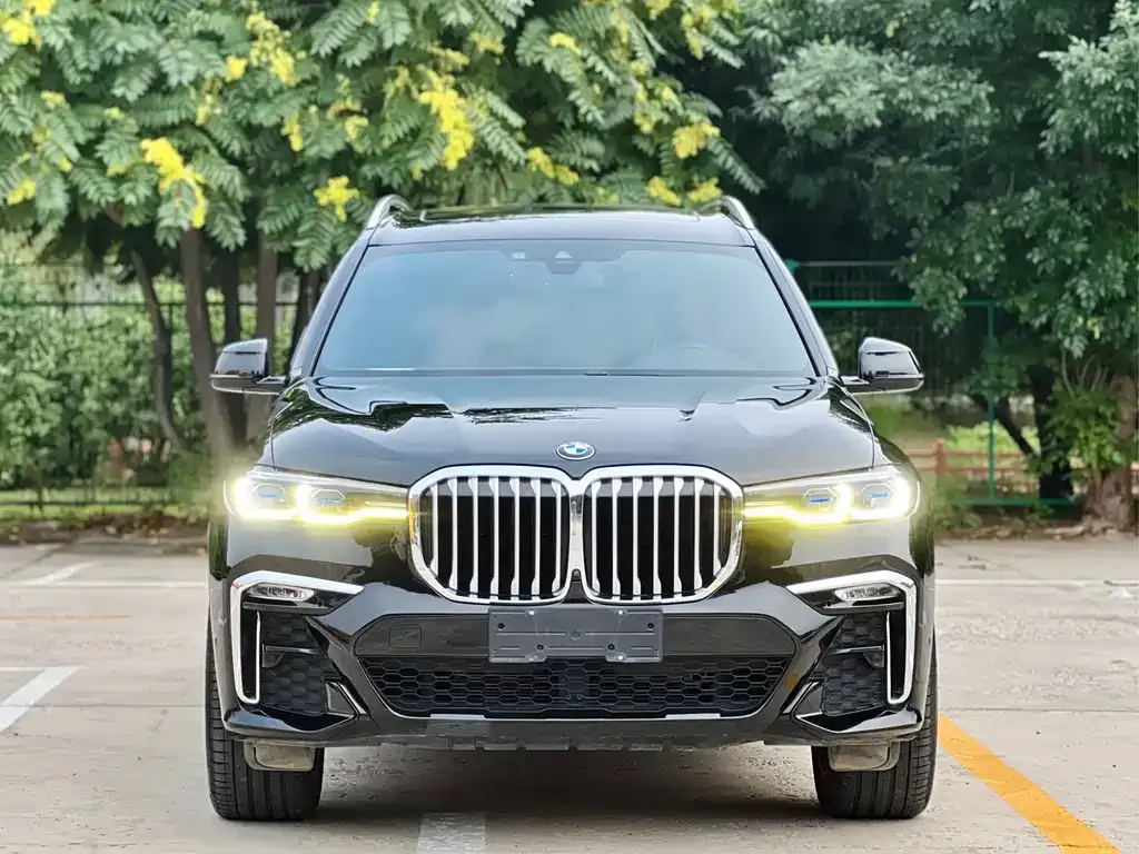 BMW X7 — фото 8