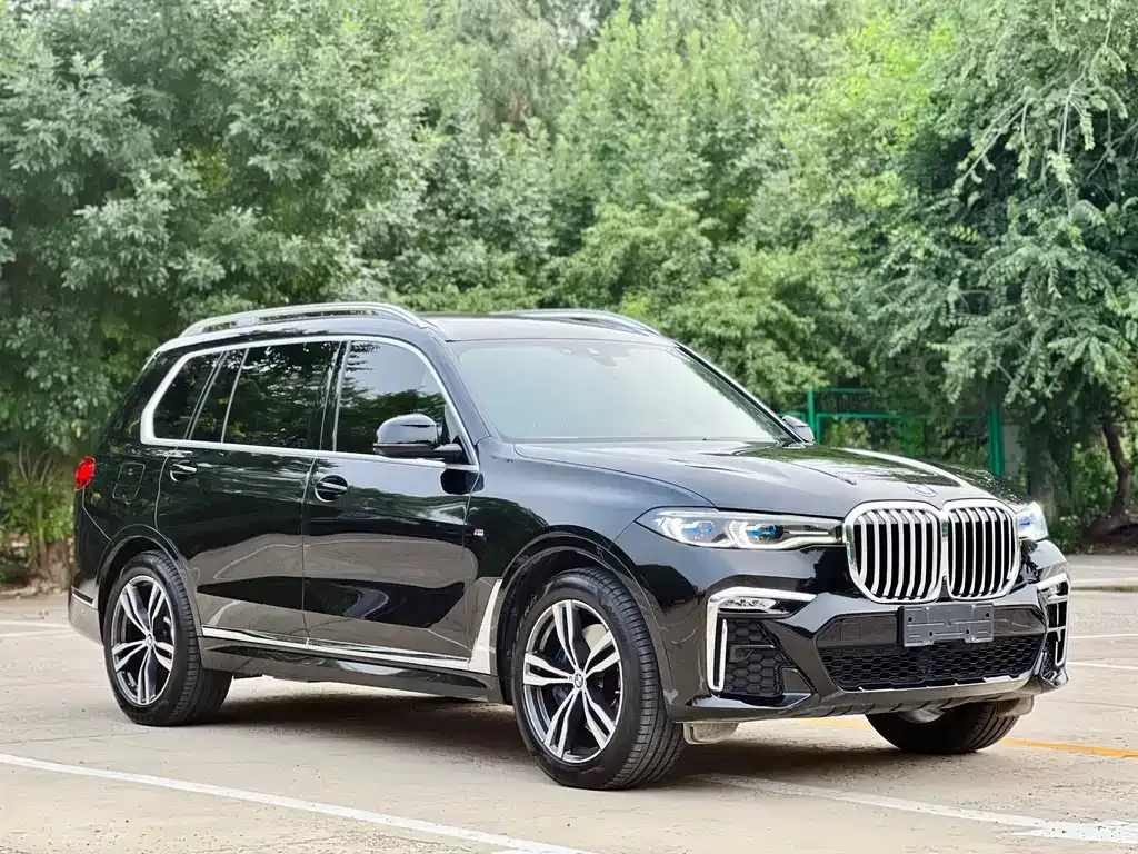 BMW X7 — фото 10