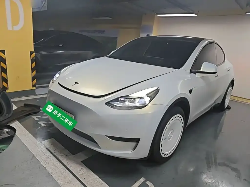 Tesla Model Y — фото 1