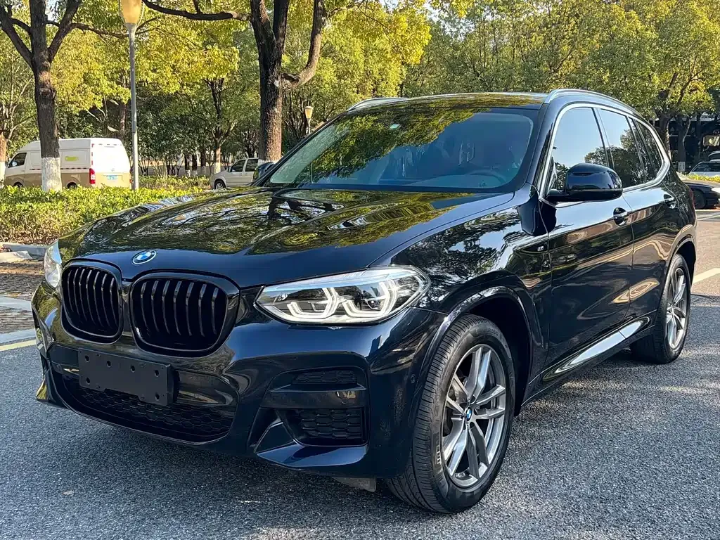 BMW X3 — фото 1