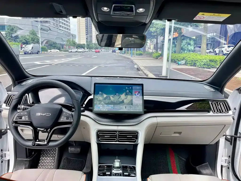 BYD PLUS New Energy — фото 3