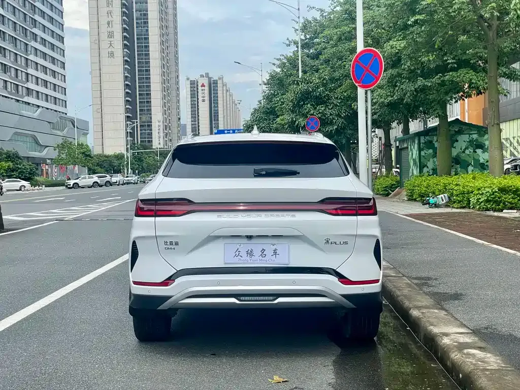BYD PLUS New Energy — фото 2