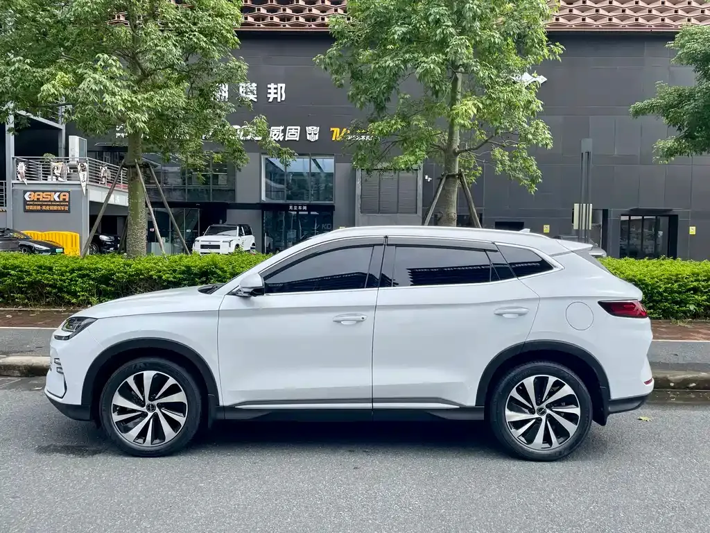 BYD PLUS New Energy — фото 10