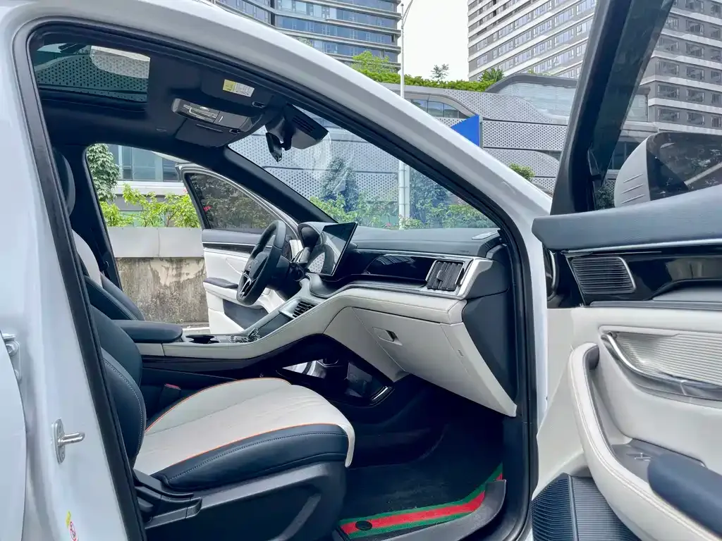 BYD PLUS New Energy — фото 7