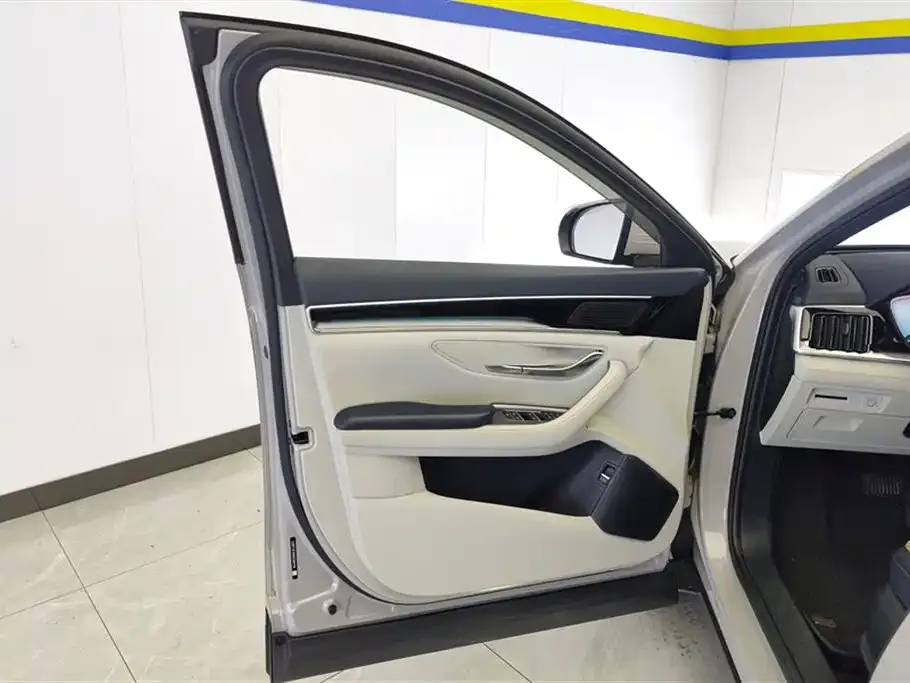 BYD PLUS New Energy — фото 2