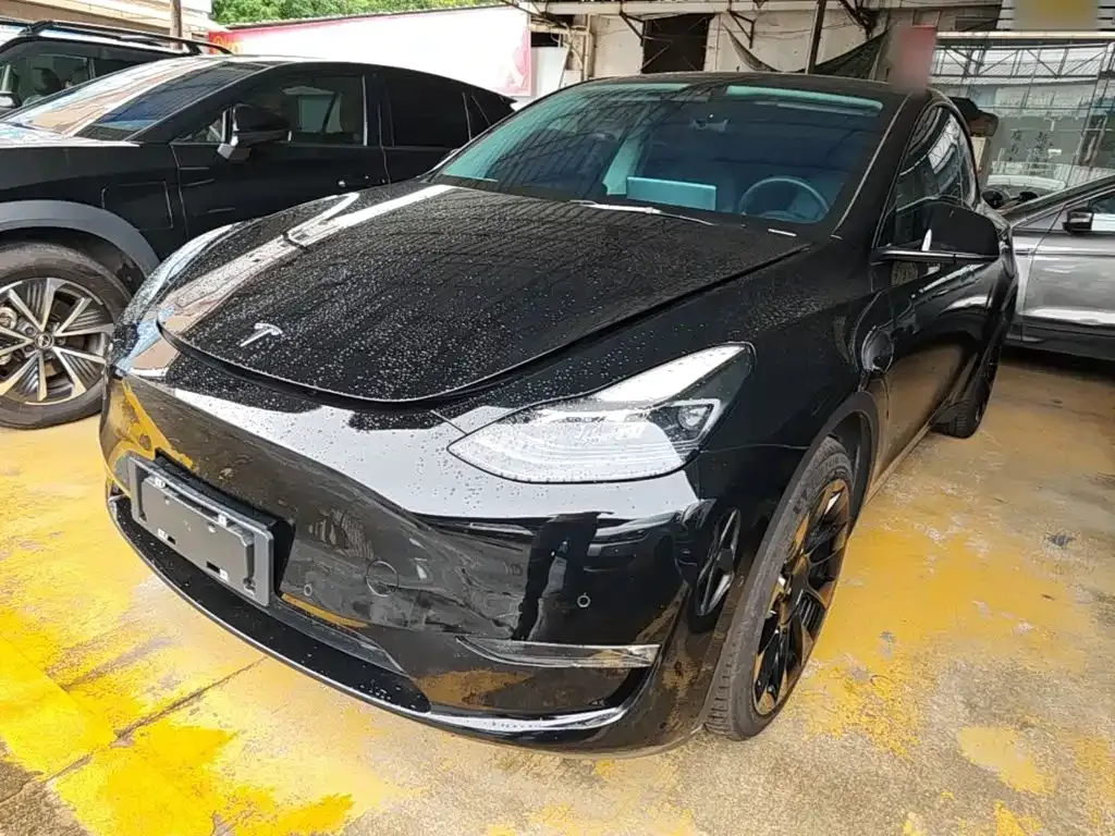 Tesla Model Y — фото 1