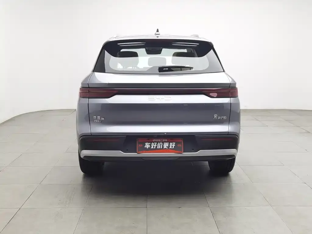 BYD Pro New Energy — фото 6