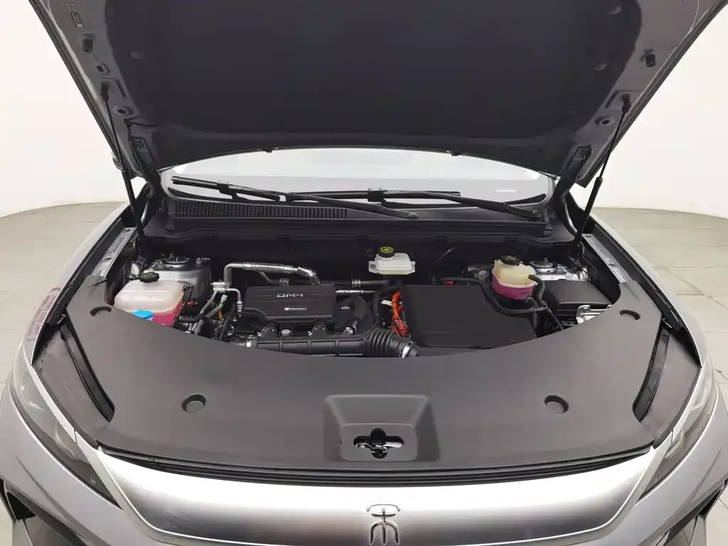BYD Pro New Energy — фото 8