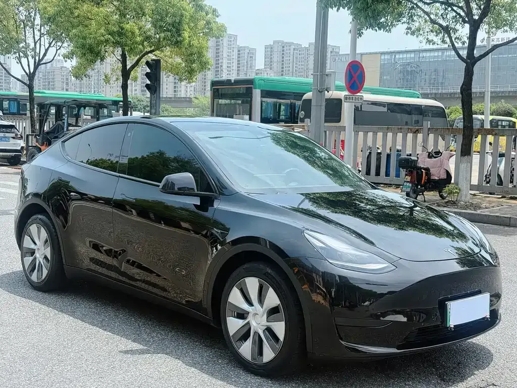 Tesla Model Y — фото 1