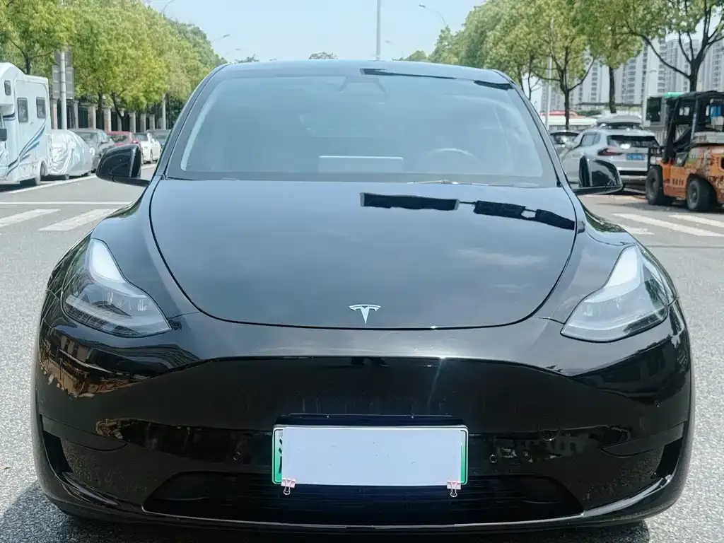 Tesla Model Y — фото 4