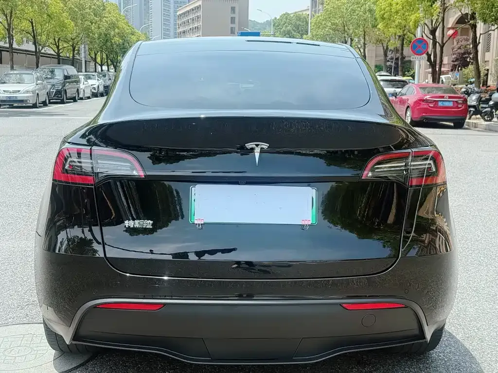 Tesla Model Y — фото 5